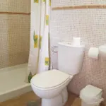 Casa de hóspedes Parrilla Venta El Andaluz